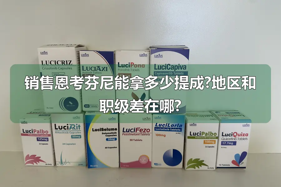 销售恩考芬尼能拿多少提成?地区和职级差在哪?
