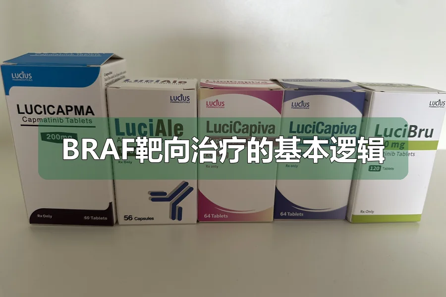 BRAF靶向治疗的基本逻辑