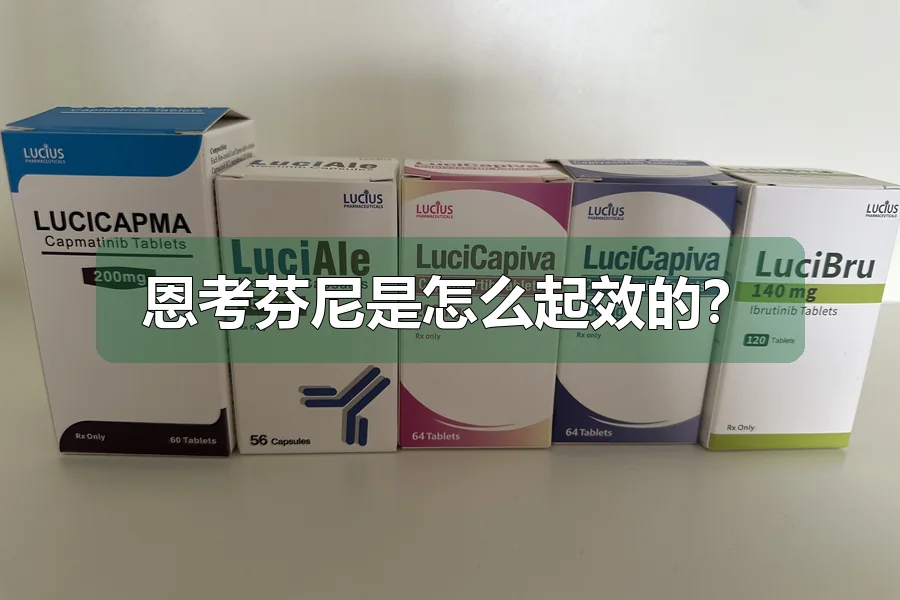 恩考芬尼是怎么起效的?